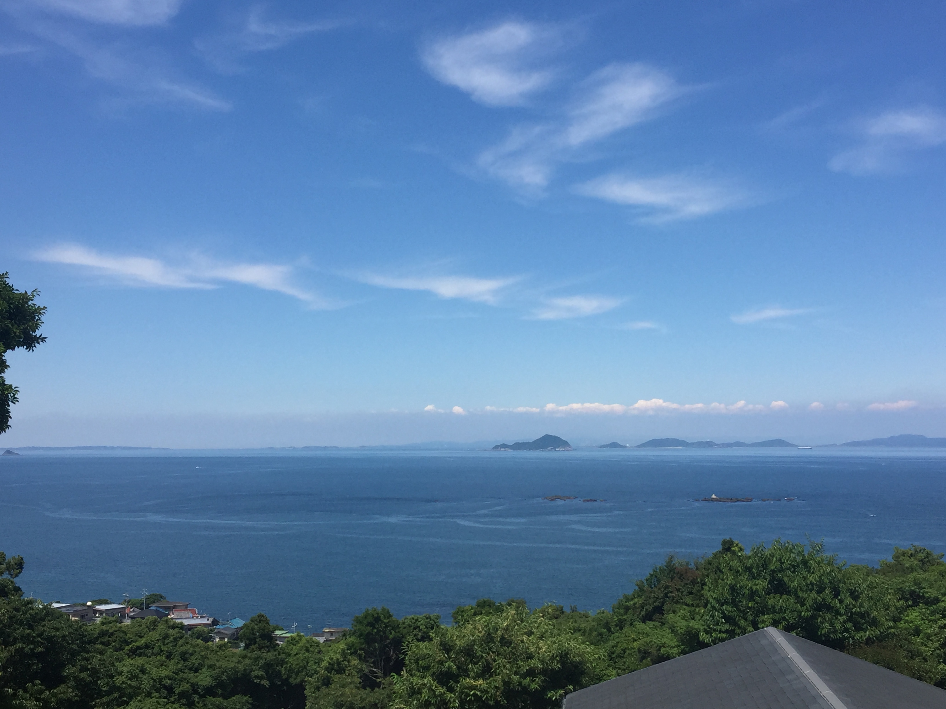 フクロウのいる神社さん