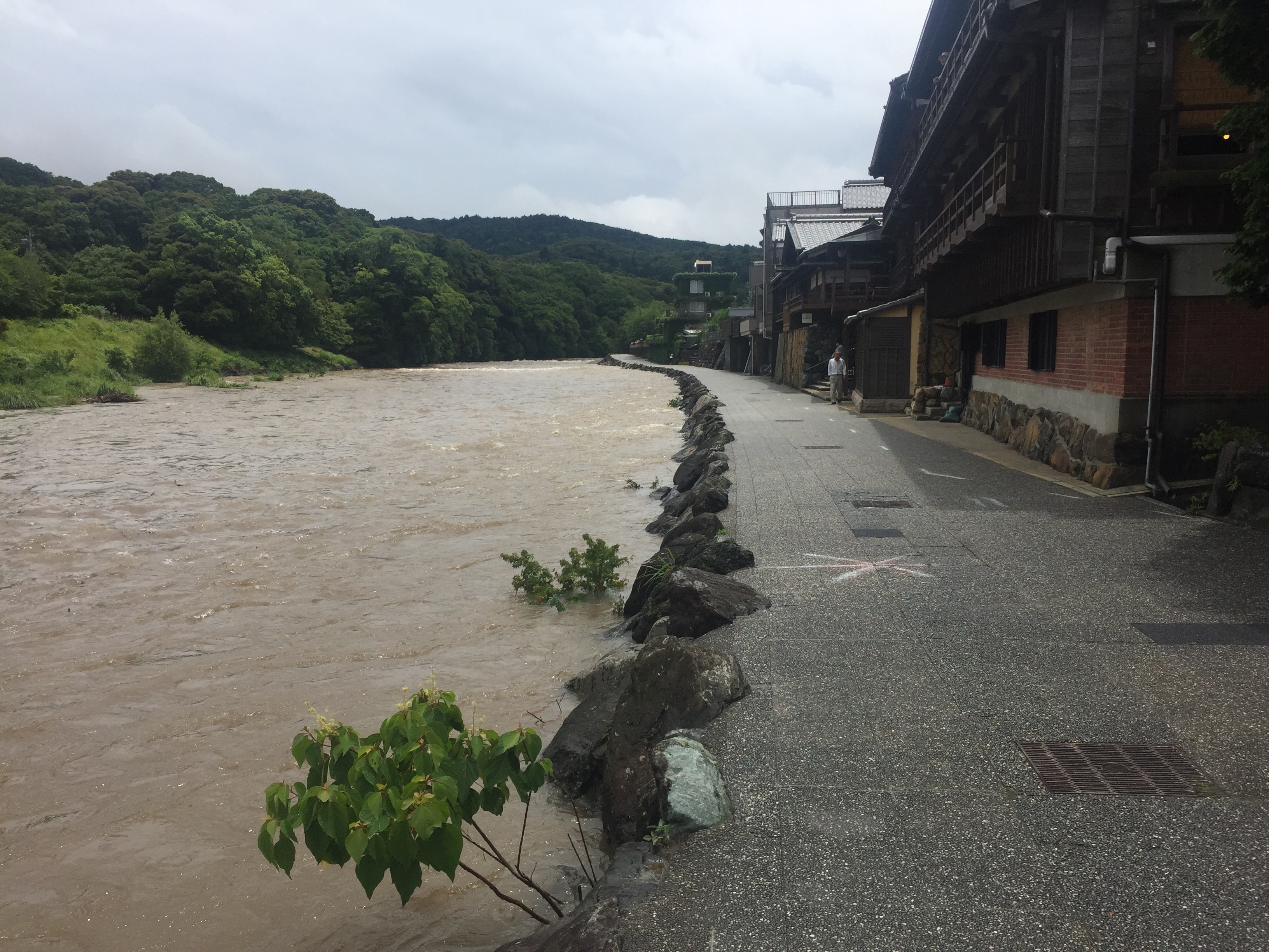 動の五十鈴川(晴れて来ました)