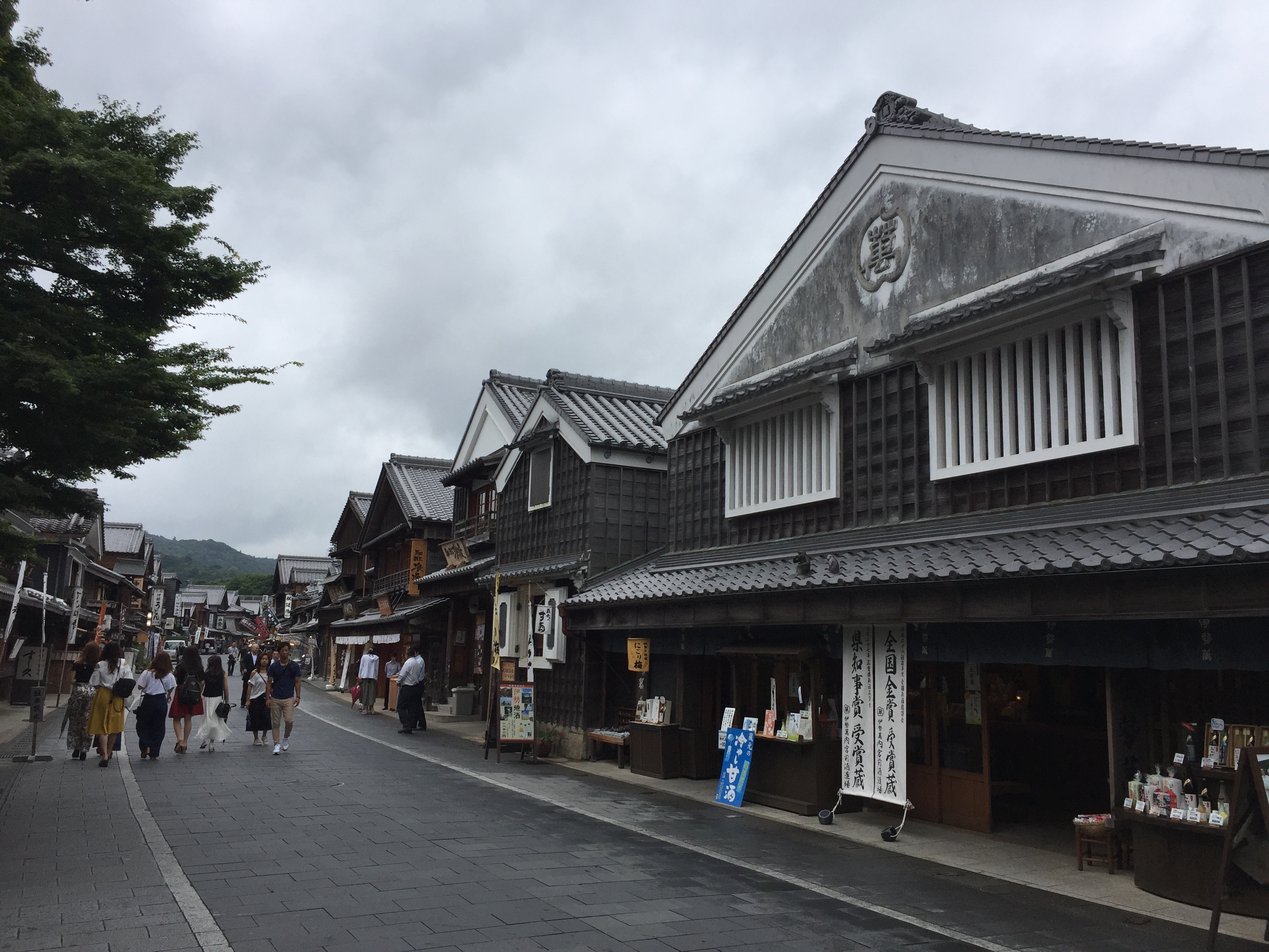 本日は涼しいです。