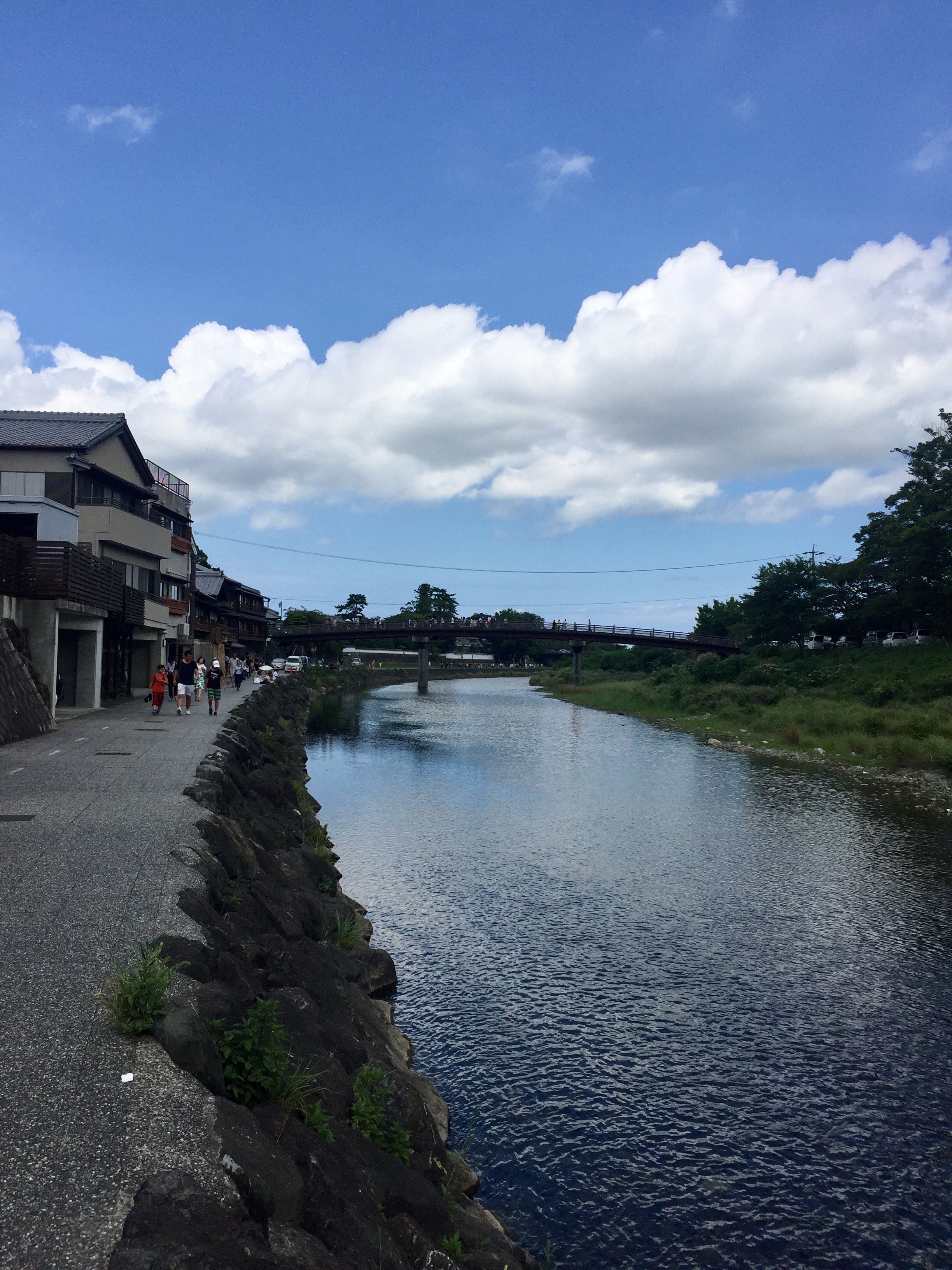 夏空が戻って来ました