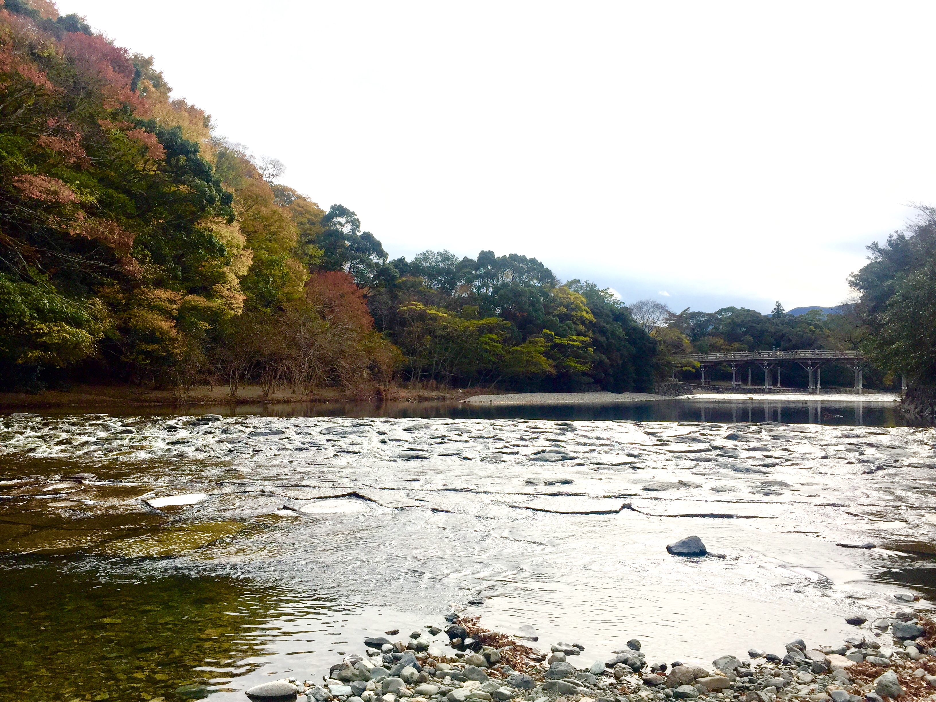 色着いて来ました。