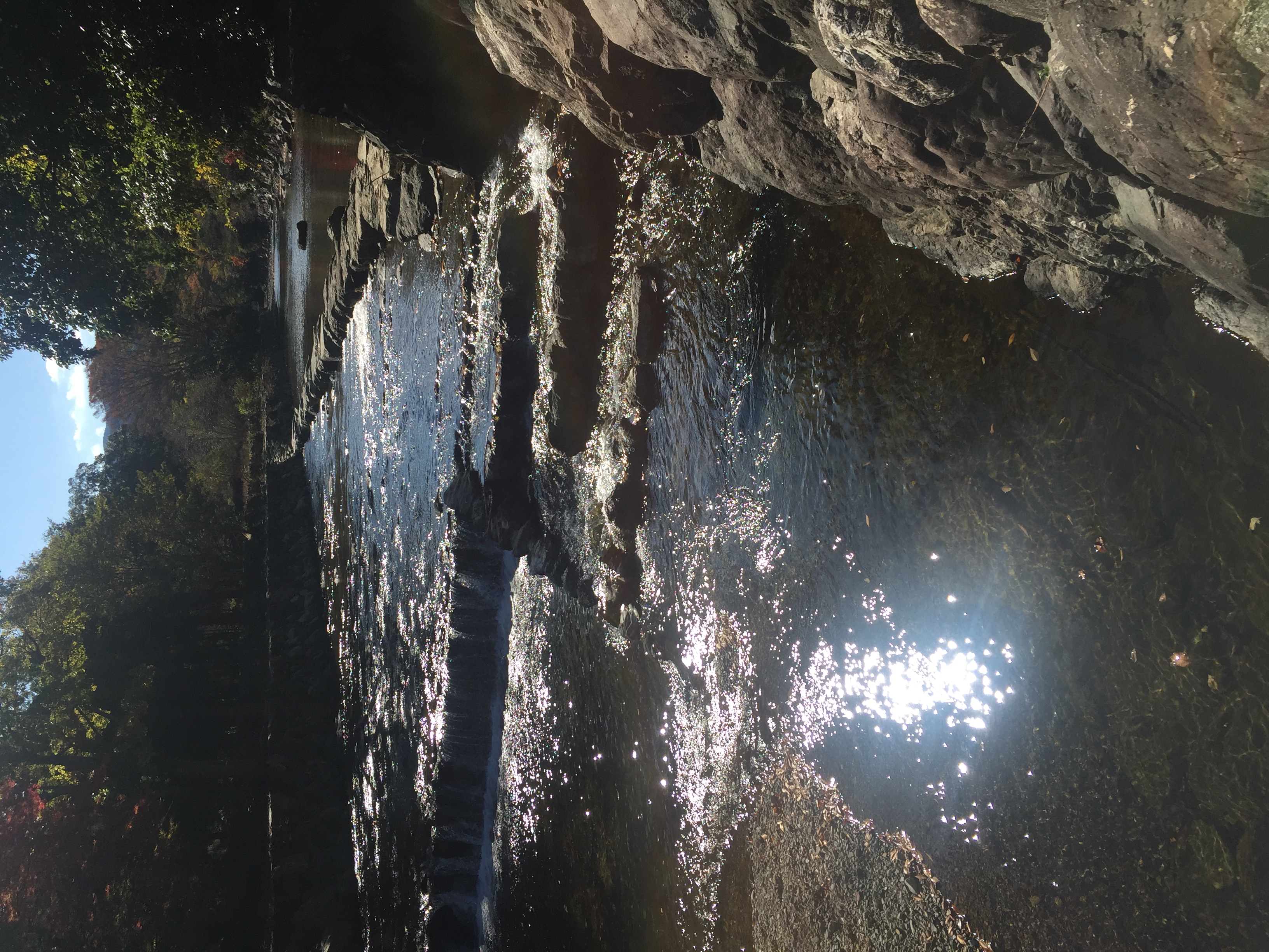 五十鈴川上流飛び石