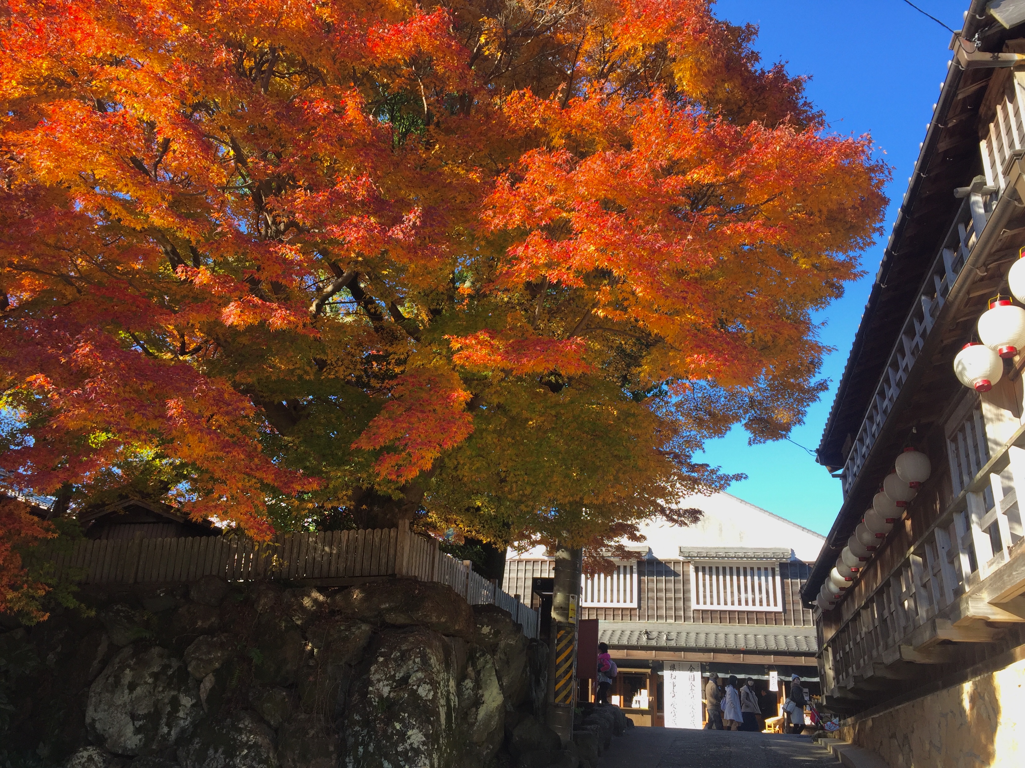12月に入りました