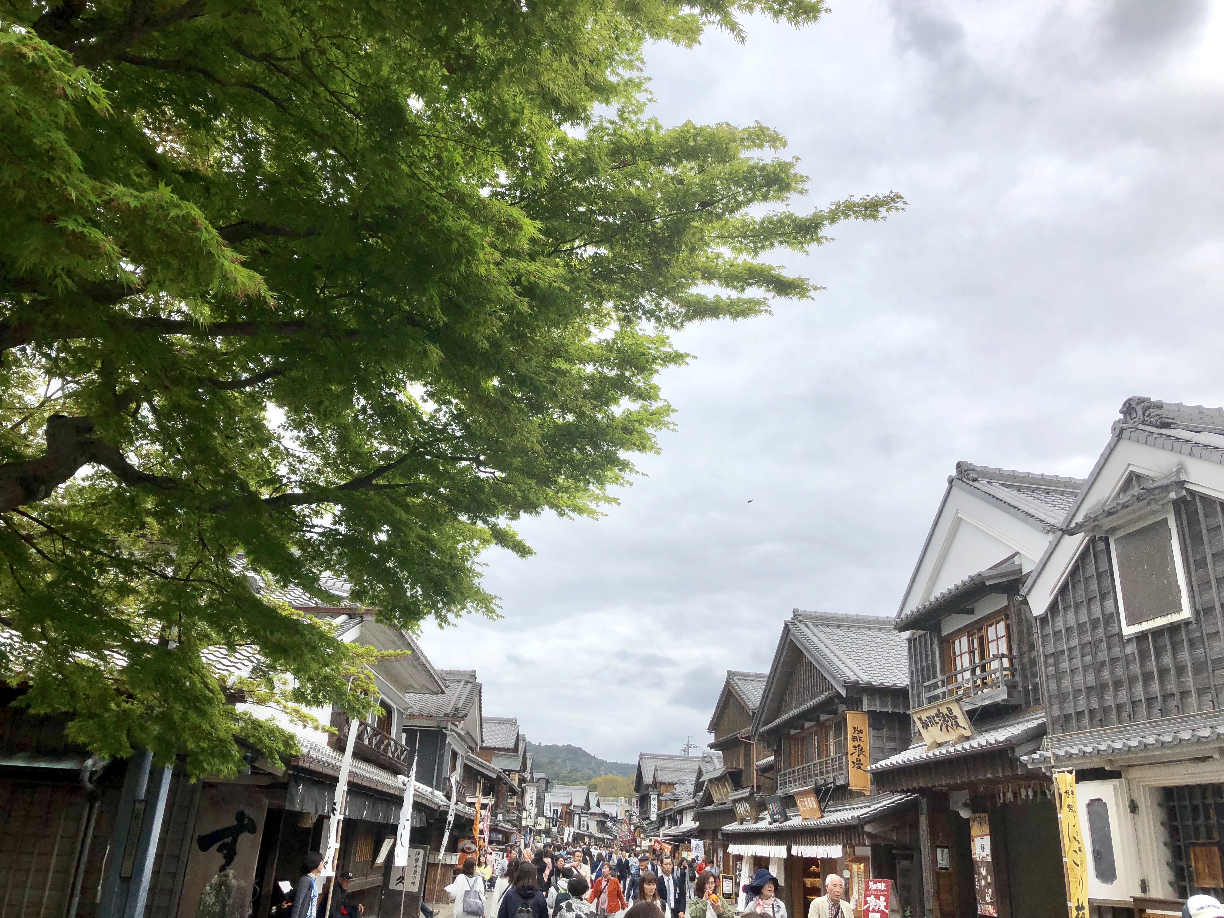 今日から「清明」