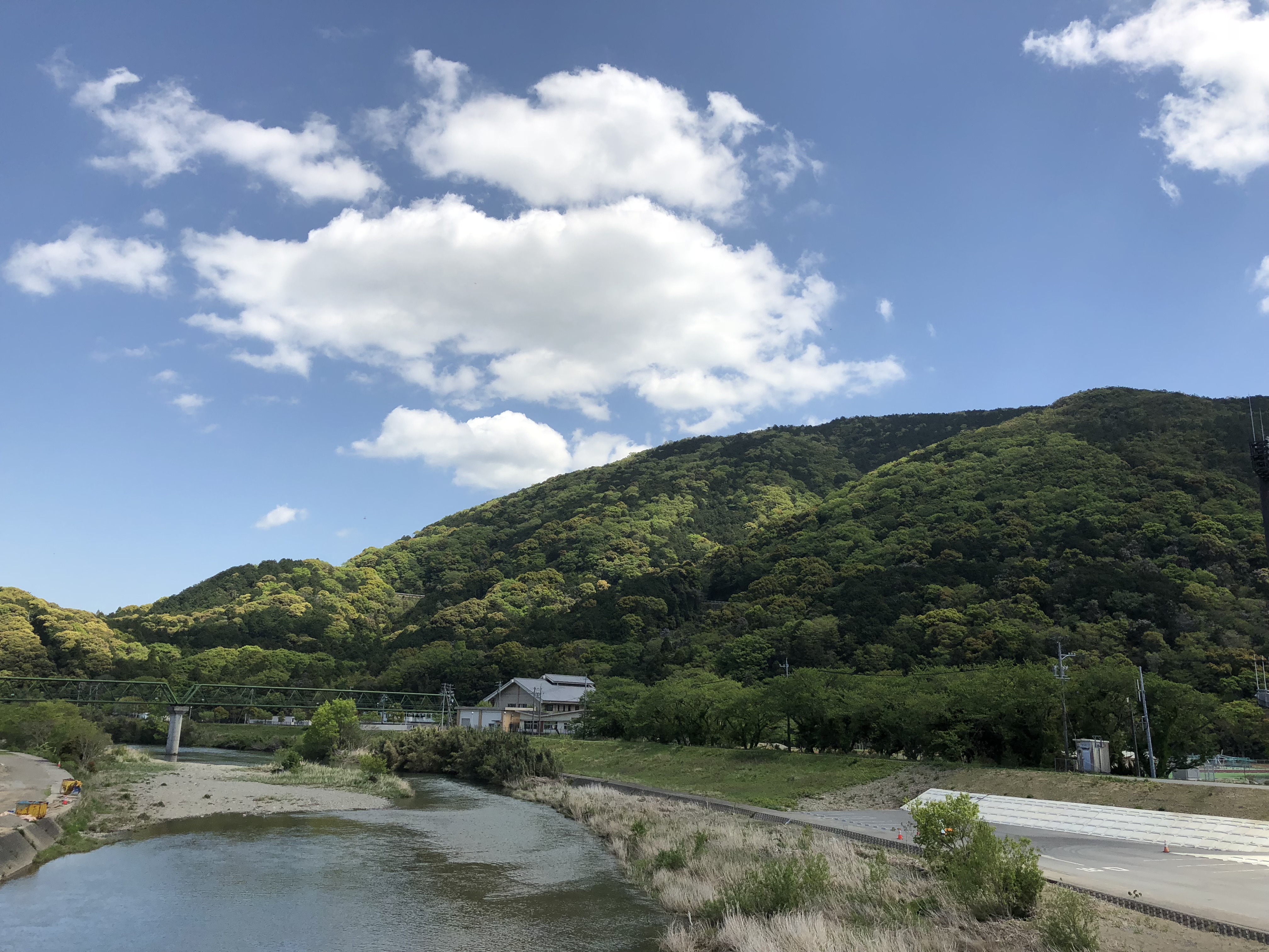 新緑がまぶしくなって来ました