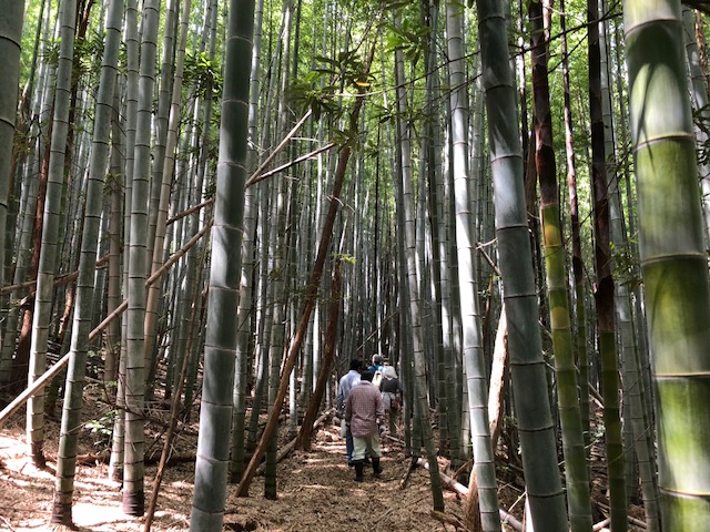 里山の現状を思う