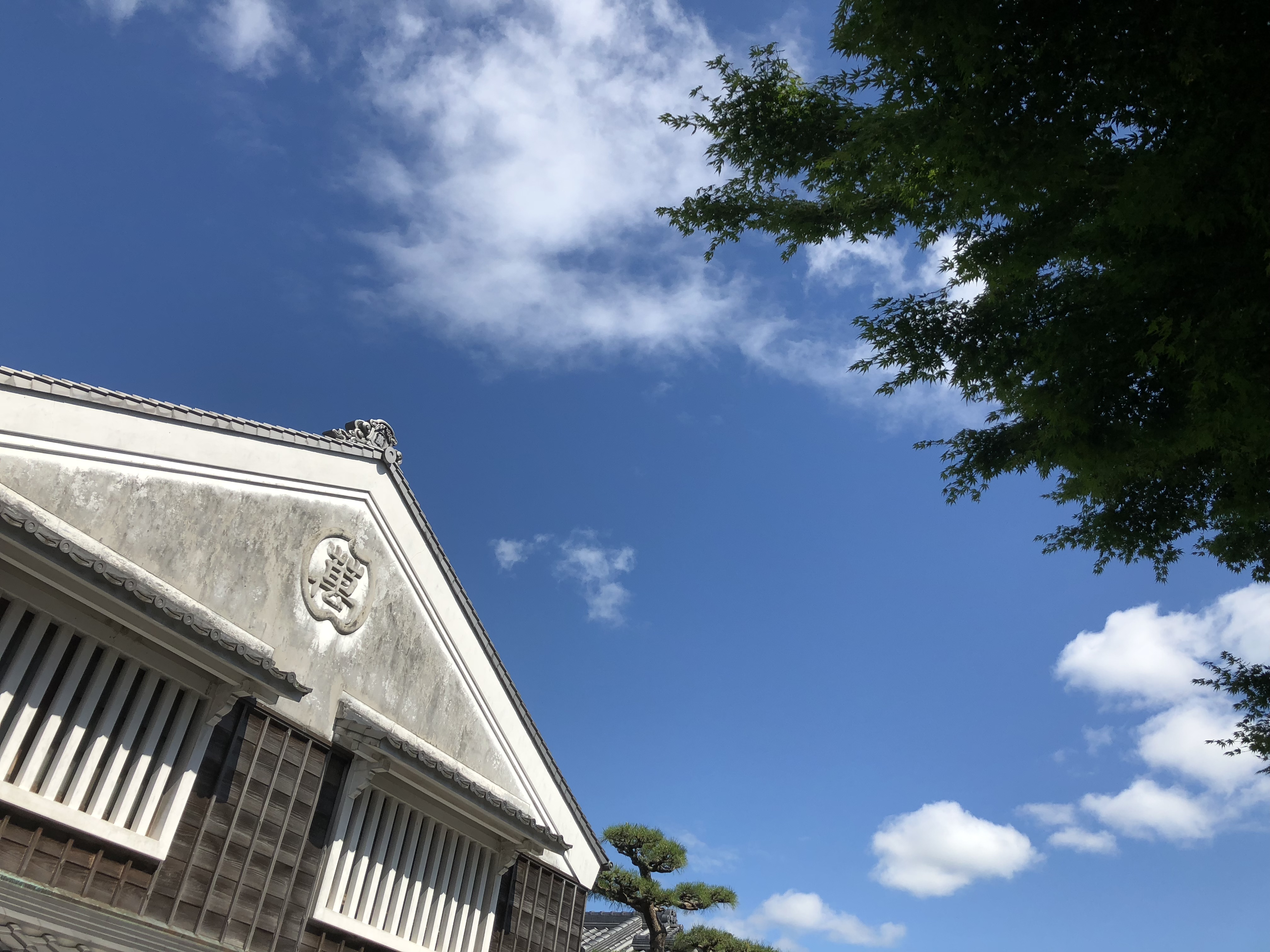 久しぶりの青空