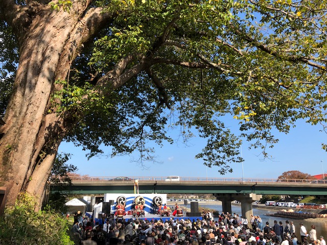 銀杏並木の黄葉と太鼓の音彩