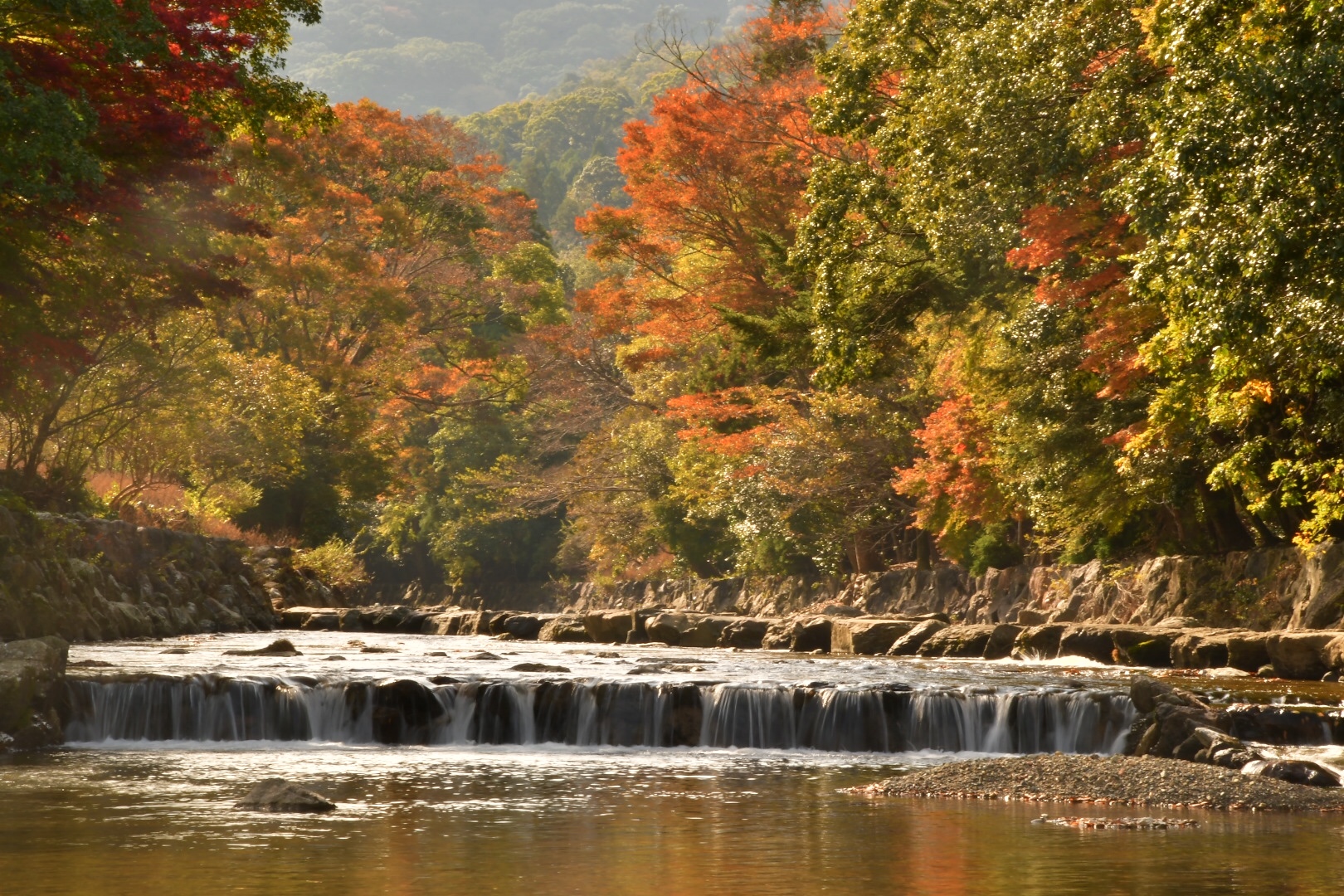 五十鈴川紅葉