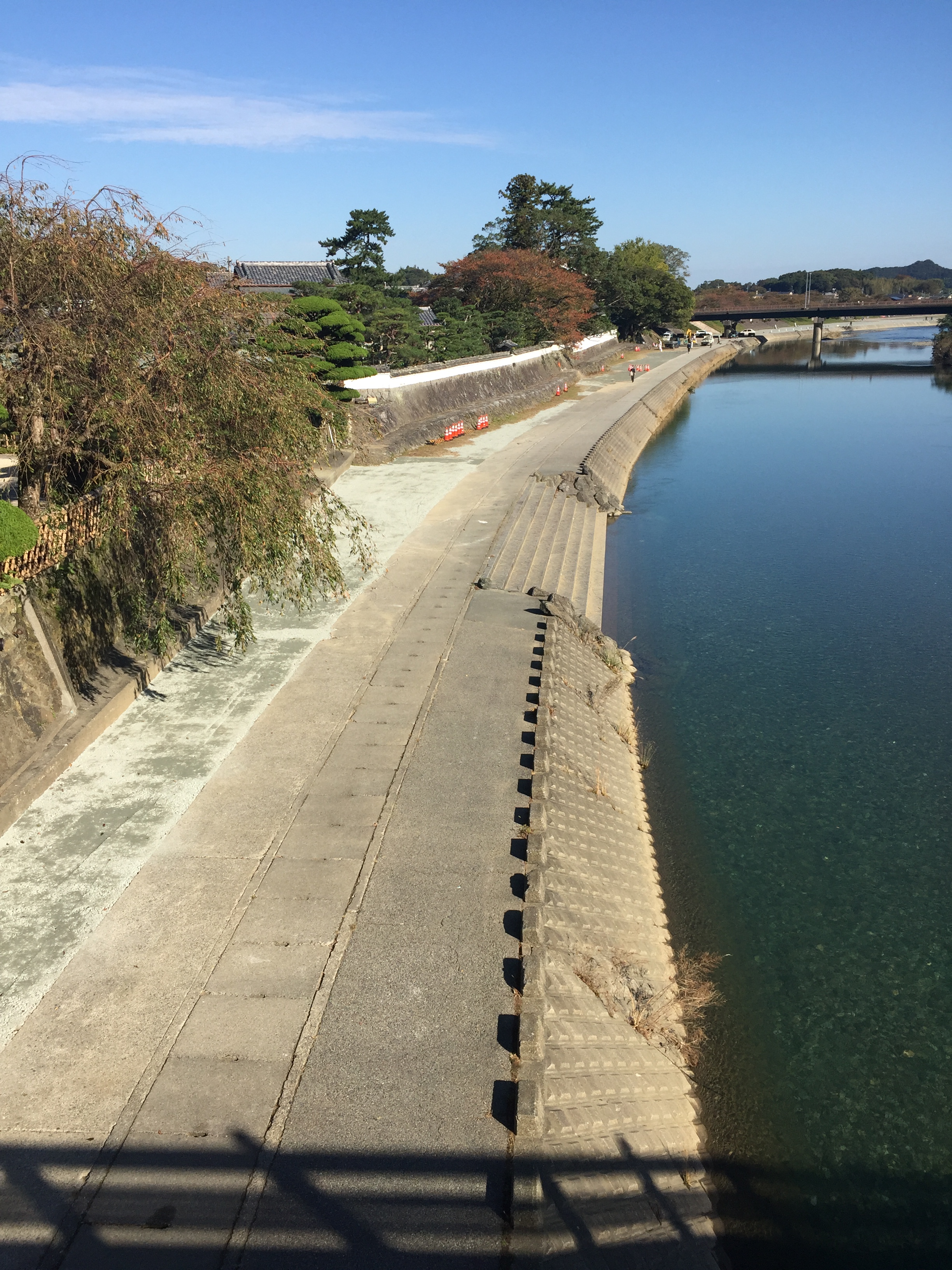 11月に入りました