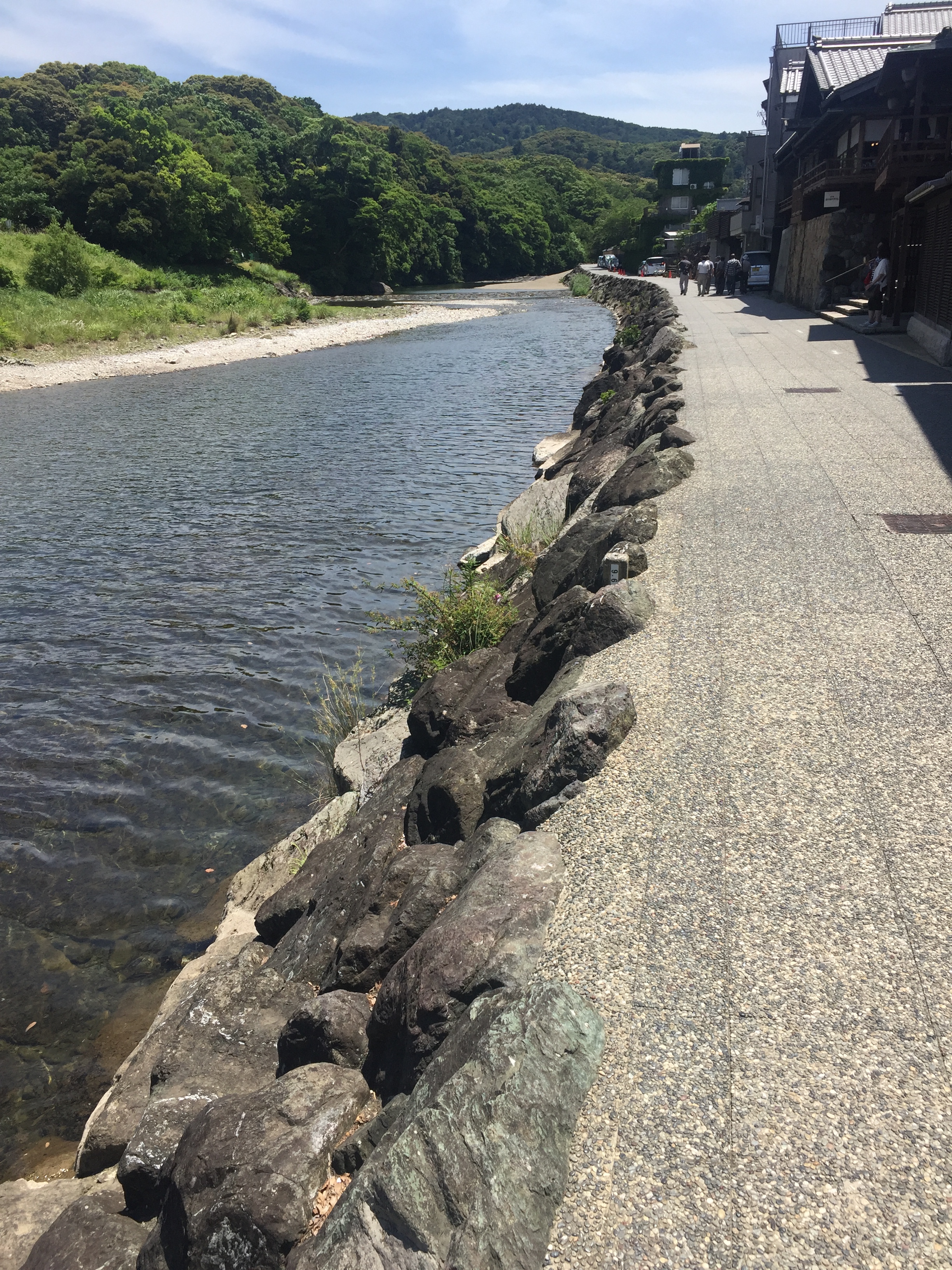 カゲロウのいる清流