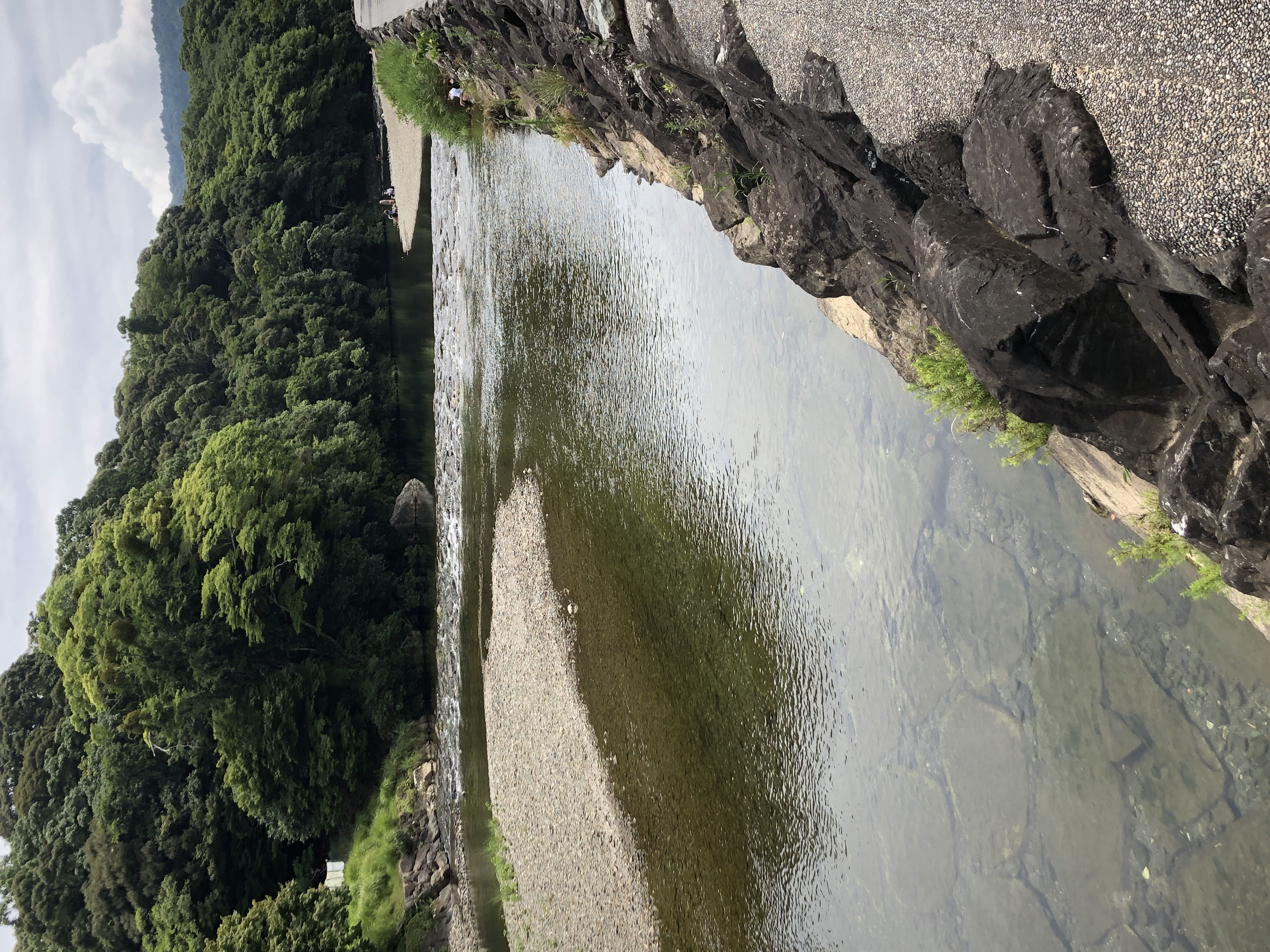 暑中お見舞い申し上げます