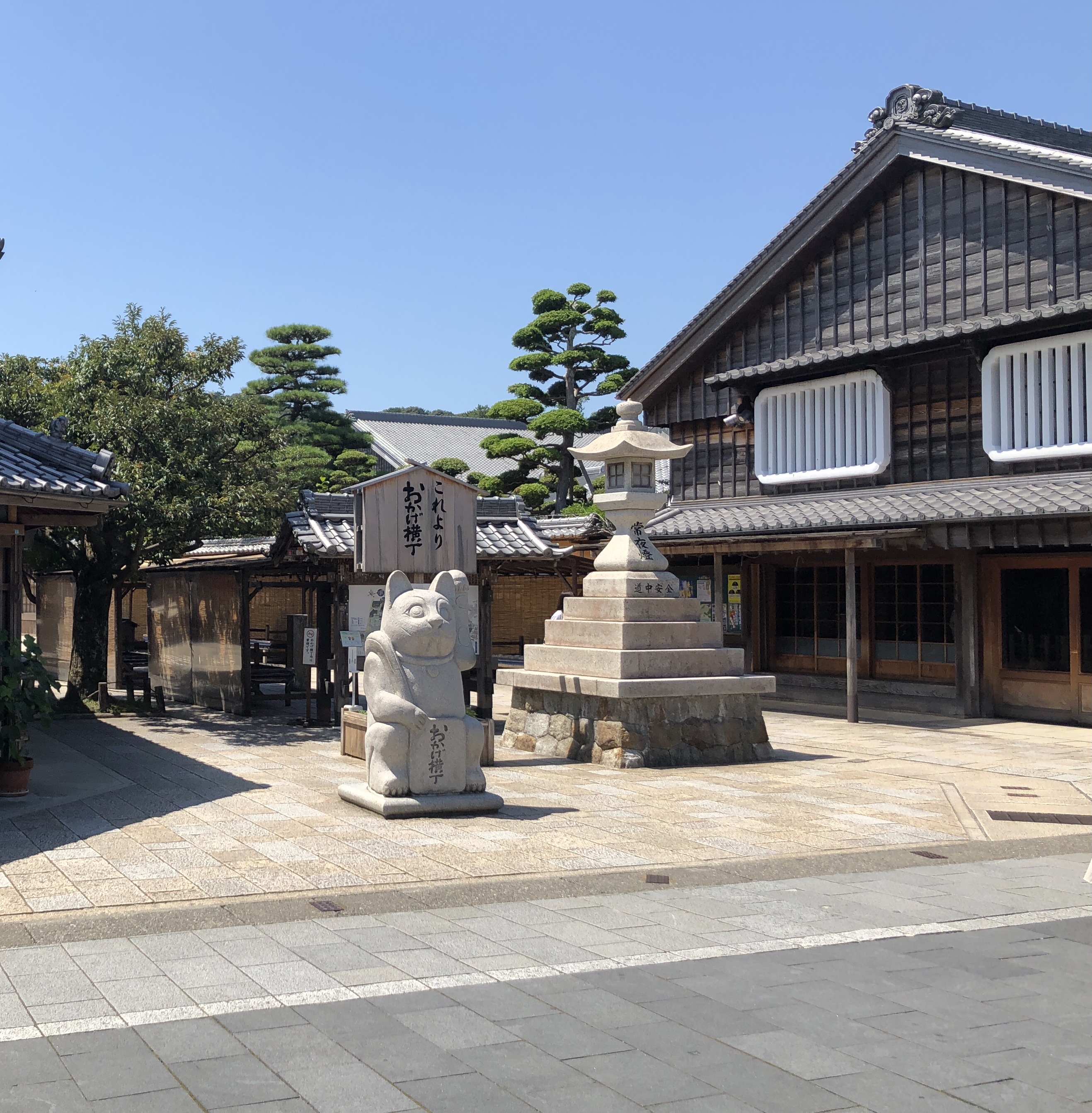 ひとりぼっちの猫ちゃん